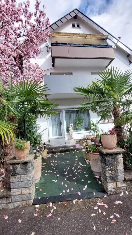 Ringo, Airport Pit Stop, Bahnhof Und Flughafen In Der Naehe Apartment Baden-Baden